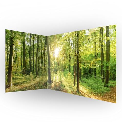 murando - Fototapete selbstklebend Wald, 539x250 cm, Schlafzimmer, Full HD | Selbstklebend ohne Kleister, Full HD Druck, ideal fürs Wohn- oder Schlafzimmer, schnelle Montage, lichtbeständig, geruchsfrei