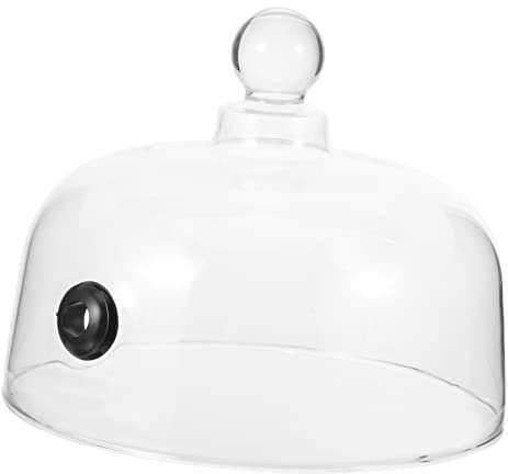 Glass Dome Dish Cover Round Handle for Plate and Fruits