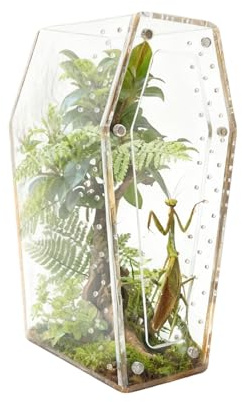 Jumping Spider Terrarium | Transparent Akryl Reptilhabitat | Liten Reptiluppfödningslåda | För Skötare Naturälskare Lärare Hobbydjurägare Skolprojekt