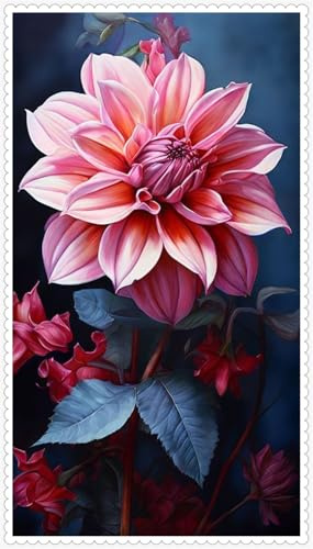 Dahlia Rhizom-Hochklassige Geschenke-Begrenzte Sammlung-Einzigartige Optik-Voller Charme-4 dahlien-E