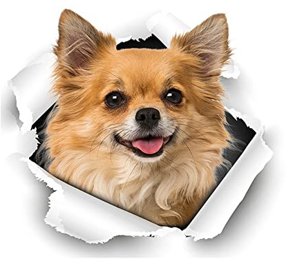 Tier 3D Auto Styling Aufkleber,Asudaro 3D Hund Glas Auto Aufkleber Katzenaufkleber Auto 3D Stereo Tieren Lustige Persönlichkeit Kätzchen Aufkleber Auto Styling Aufkleber,Typ B