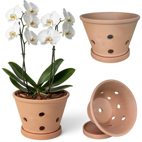Hilai Macetas para orquídeas con Agujeros y platillos, macetas de Arcilla para orquídeas para trasplantar, macetero para Interior y Exterior Que promueve la circulación del Aire, 8, 1 * 5, 3 Pulgadas