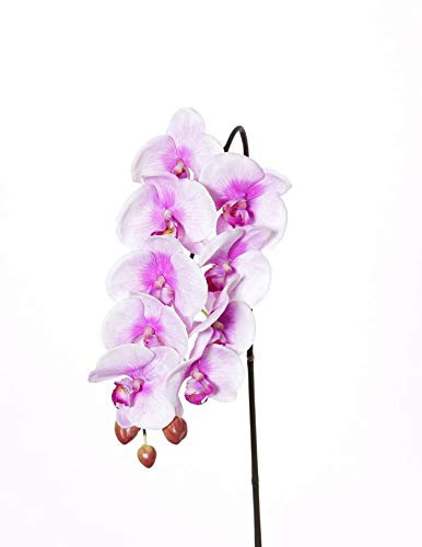 artplants.de Phalaenopsis Finta ENISA, Rosa-Bianco, 45cm, Ø7cm - Orchidea Artificiale - Fiore di Seta