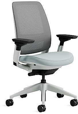 Steelcase Ergonomischer Bürostuhl: Series 2, Lumbalstütze, Sturmhorizont | 4D-Armlehnen, Universalrollen, Premium-Materialien, bis 160 kg und 190 cm, sitzkomfort
