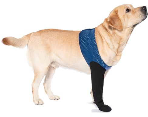 COODEO Hundesocken gegen Pfotenlecken & Schutz bei Verletzungen, mit rutschfesten Sohlen. Wasserdichter Pfotenschutz. (Blau, 3XL_Right)