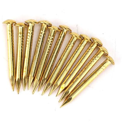 Cocoarm Brass Nails 100 Pieces Round Head Gold Nails for Furniture Hinge Hardware Accessories, Premium Brass Tacks 10mm 15mm 18mm 22mm for Hanging Picture Frame Mirror Wood Craft (22mm Long