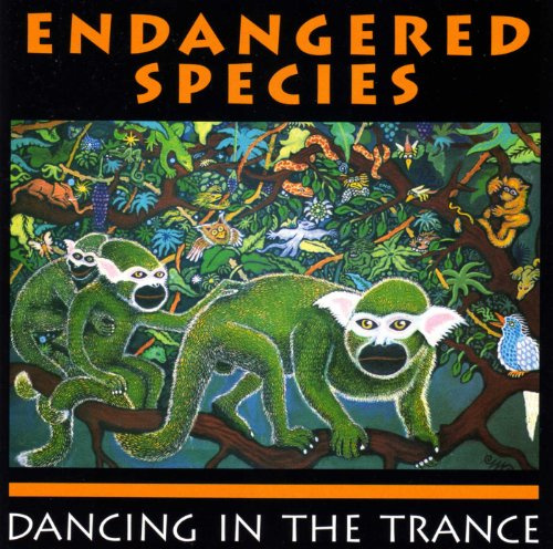 Dancing in The Trance