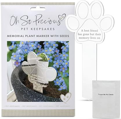 Paw Print Memorial Garden Plant Marker with Seeds, Mirrored Acrylic Paw | Pet Bereavement Gifts, With Seeds, Forget Me Not Gifts, 10cm, Pet Loss Tribute for Cats & Dogs