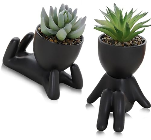 Vokowin 2PCS Fake Plants Artificial Succulents Potted Plant Indoor in Black Ceramic Pot Plant Cute Desk Decor for Home Office Table Living Room Shelves Decor (Excluding green plants)(K486-2)