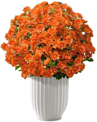 Vmiorzq Crisantemi Artificiali Da Esterno,Mazzo Da 10 Fiori Autunnali Finti - Piante Resistenti Agli Agenti Atmosferici Decorazioni Casa per Balcone Vasi Scrivania Camera da Letto Ingresso