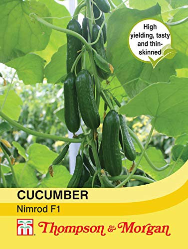 Thompson & Morgan - Cucumber Nimrod F1 Hybrid - 4 Seeds