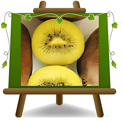 EURO PLANTS VIVAI Actinidia - Kiwi Chinesis impollinatore Jinfeng - pianta da frutto su vaso da 20 cm - Altezza 170 cm - Età 2 anni