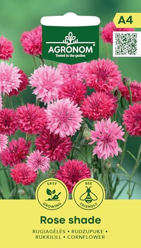 AGRONOM | Kornblume - ROSE SHADE samen | Blumensamen | Pflanze samen | Einjährige Blumen mit leuchtenden, gefüllten Blüten, die lange und reichlich blühen | Gartensamen | 1 Pack