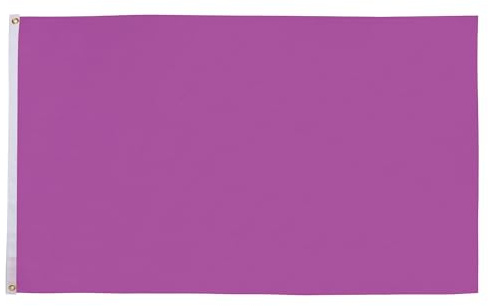 AZ FLAG Flagge Einfarbig Violett 250x150 cm Einfarbig Polyester 100D 2 Ösen | Für innen und außen dekorative Flagge doppelte Nähte und verstärkte Kanten mit Metallösen 100D Polyester