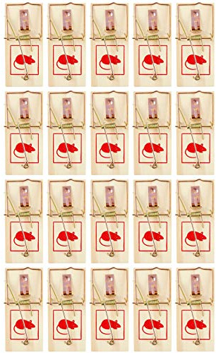 all-around24 20 Stück Holzmausefalle Maus Falle Schlagfalle Mäusefallen Schlagfallen Schnappfalle Wiederverwendbar (20 Stück)