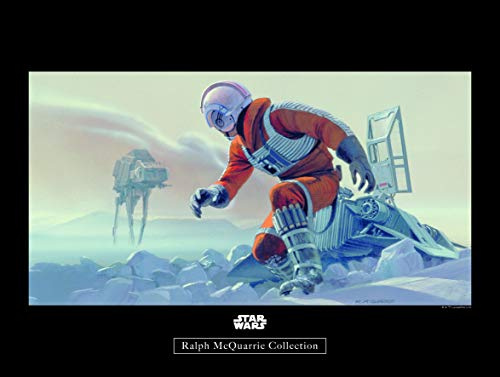 Komar Wandbild | Star Wars Classic RMQ Hoth Battle Pilot | Kinderzimmer, Jugendzimmer, Dekoration, Kunstdruck | ohne Rahmen | WB144-40x30 | Größe: 40 x 30 cm (Breite x Höhe)