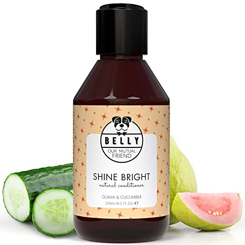 Belly - Veganer Hundeshampoo & Conditioner für Hunde - 250ml - Fellpflege, Hunde Conditioner gegen Geruch, Hundeshampoo für Langhaarhunde & Welpen