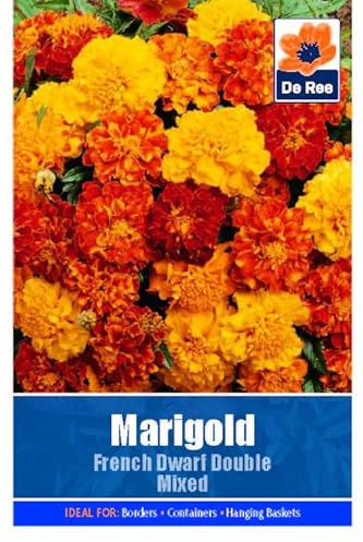 Flower Seeds Marigold French Dwarf Double Mixed Scatter - 65 Seeds Packet Plant Bedding Borders Containers Pots Grow Your Own Garden Plant Seed