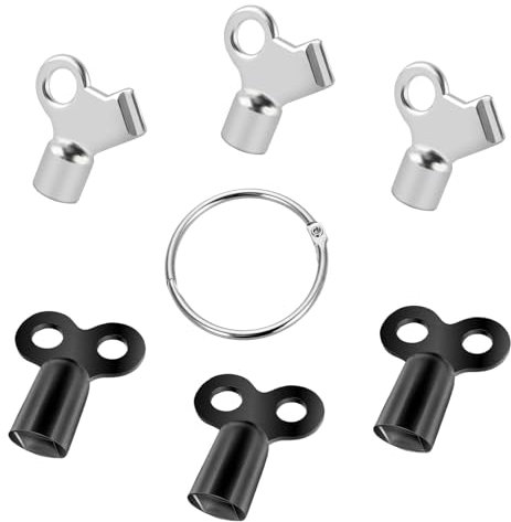 YANINEE 6 Stück 5 mm Heizung Entlüftungsschlüssel, Schlüssel Heizung Entlüften