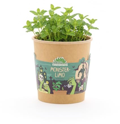 Kit de culture « MonsterLima » - Cadeau d'invité d'Halloween, souvenir et décoration de table - Graines de menthe avec comprimé de source de noix de coco et instructions de plantation (français non