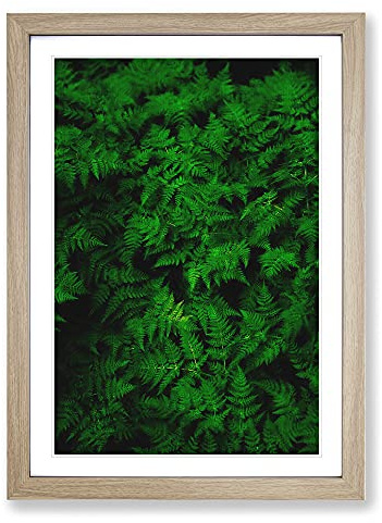 Fern Leaves Framed Wall Art Print A2 Oak | Ready to Hang, Premium Giclée Paper, Fade-Resistant Inks, Securely Packaged, UK Made