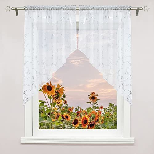 Delien 2er Set Voile Scheibengardine mit Durchstangenzug Bistrogardinen Modern Türgardine Küche Kurz Stores Einzelschicht Gardinen Kleinfenster mit Kräuselband/Tunnelzug BxH 120x125cm*2,Weiß