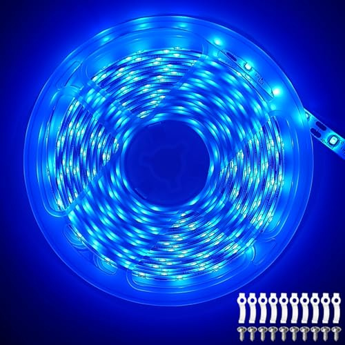 ShineBurky 24V LED Streifen Blau 10M LED Strip 300 LEDs Flexibel Schneidbar | SMD2835 IP65 Wasserdichtes Selbstklebend Lichtband für Innen Schlafzimmer Kneipen Küche Weihnachten Deko (ohne Netzteil)