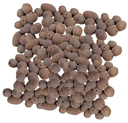 BESTonZON Ceramsite Traspirante e Argilla Espansa per Giardinaggio, Materiale Drenante per Piante Grasse e Acquari, Confezione da 1 kg per Substrato da Coltura e Decorazione Giardino