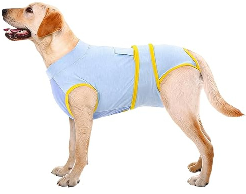 Hundbody mot ryggar – skyddsväst | Anti- body för hundar – för hanar och hundar, mage, höft, armbågar, benskador
