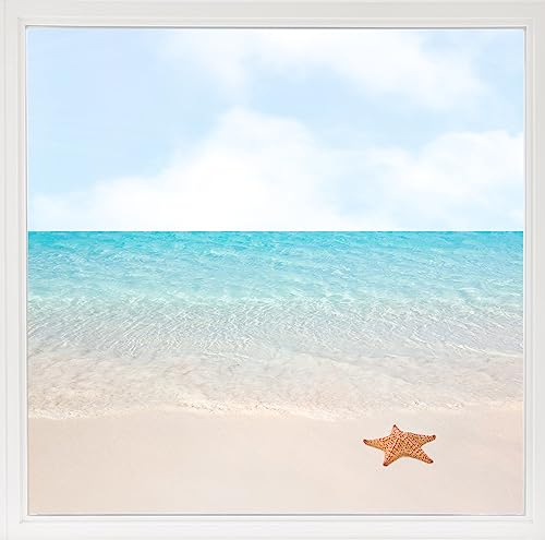 GRAZDesign Fensterfolie Blickdicht, Sichtschutzfolie für Fenster und Glastüren, Mehrfarbig, Vinyl, 100x57cm, UV-beständig, Selbstklebend, Strand mit Seestern