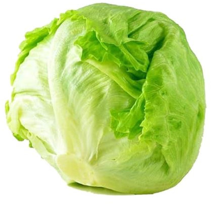Fresh Lettuce I 300 to 400G Approx I pack of 1