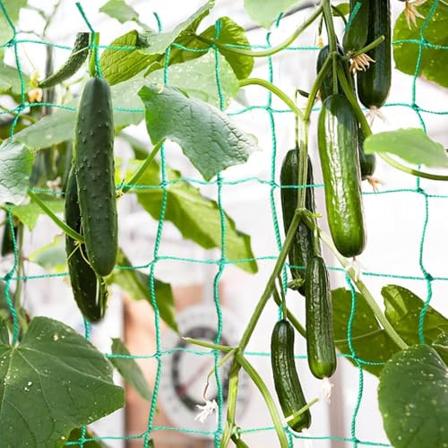 (32.8 x 6.6 Ft) Trellis Netting for Climbing Plants, Heavy Duty Garden Vegetable Cucumber Grow Net, Outdoor Indoor Plants Trellis Net for Beans Tomatoes Green Peas Pumpkin Flowers