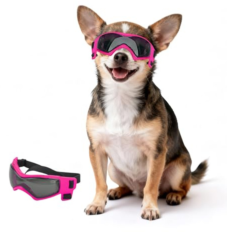 PETLESO Extra kleine Hundebrille, Anti-UV, winddicht, XS, Augenschutz, Chihuahua-Brille mit verstellbaren Trägern zum Autofahren/Outdoor-Aktivitäten - Rosa, XS
