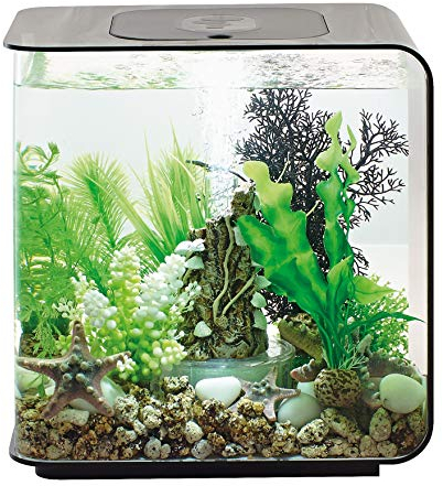 biOrb 72029 FLOW 15 LED, schwarz, 15 L Tankvolumen – rechtkantiges Design-Aquarium aus Acryl, Set mit Filter-System, LED-Beleuchtung, Boden-Kies, Luftausströmer