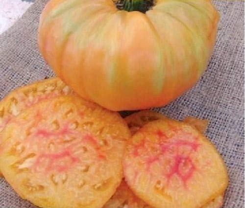 Portal Cool 40X ananas Tomates Graines Jaune Rouge - - - - # 49