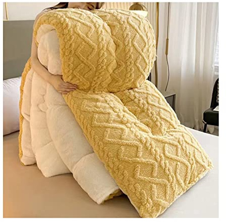 Cachemire ​RéVersible Couette, Couette Double Plume d'oie Édredon, couvertures d'hiver épaisses et Chaudes, Super Doux, pour La Maison,C,180×220cm(3kg) [Classe énergétique A]