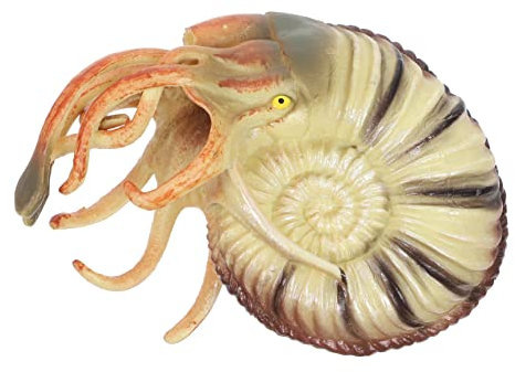 VICASKY Nautilus Model Realistic Plastic Ocean Animals Toy Fish Tank Ornaments for Boy Girl Educational Sea Creatures Figurine Enhance Imagination Learning