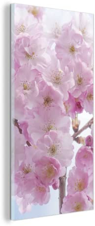 MuchoWow Glasbild Glasfoto Wandbild Bilder Deko 60x120 cm Blüte - Kirschbaum - Frühling
