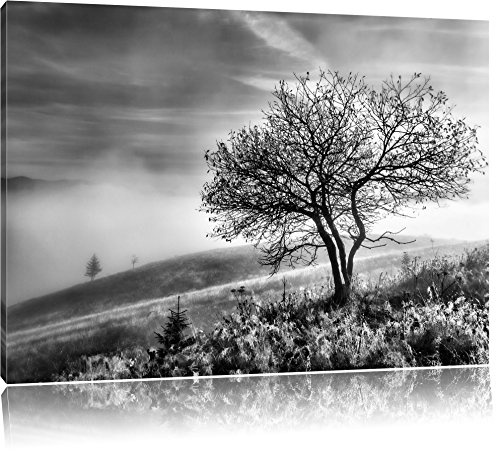 Pixxprint Monocrome, Baum im hohen Gras schwarz weiß, Größe: 80x60cm, Leinwandbild, fertig gespannt, Wandbild, Dekoration, Kunstdruck, kein Poster