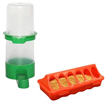 F Fityle Mangeoire à Poussins et kit d'abreuvoir pour Oiseaux Abreuvoir pour Oiseaux, Petit