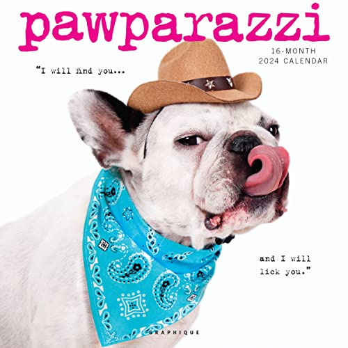 Graphique Pawparazzi Wandkalender 2024 | 30,5 x 30,5 cm | dickes Papier | Organizer für Zuhause und Büro | großes Monatsraster | 3 Sprachen & markierte Feiertage | 4 Monate Vorschau Seite für 2025
