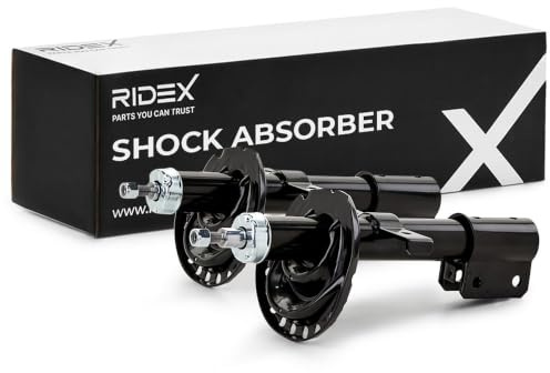 RIDEX 2x Amortisseur Avant Pression d'huile Compatible avec RENAULT Clio 3 3/5 portes BR0/1, CR0/1 Clio 3 Grandtour KR0/1