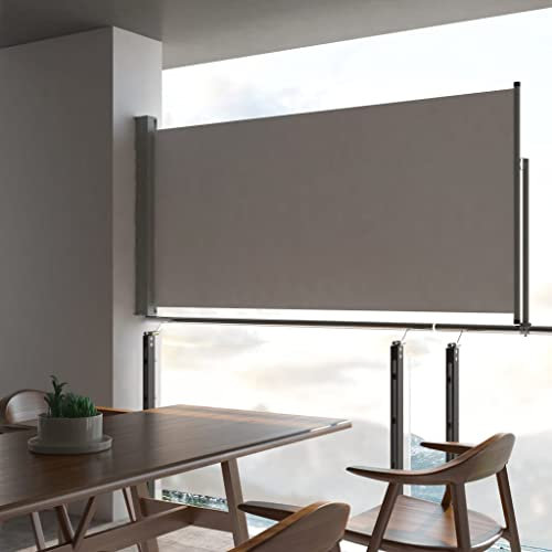 Brokky Tenda da Sole Laterale Retrattile 120 x 300 cm Grigia-Tenda da Sole per Esterno Avvolgibile,Tenda da Sole,Tettuccio Resistente al Sole e Impermeabile