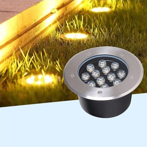 Luces de Paisaje para Suelo - Luz LED de Fuente con Anillo - Iluminación subacuática para Piscina de 12 V, Foco Sumergible IP68, Resistente al Agua, para jardín, Fuente y Piscina (frío, 6 W (1
