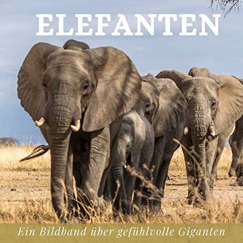 Elefanten: Ein Bildband über gefühlvolle Giganten