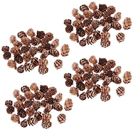 B Baosity 120 Stück Großhandel Mini Natürliche rustikale getrocknete Tannenzapfen in Bulk für Weihnachten, Party, Ornament, Floristen, Geschenkverpackung, Dekoration