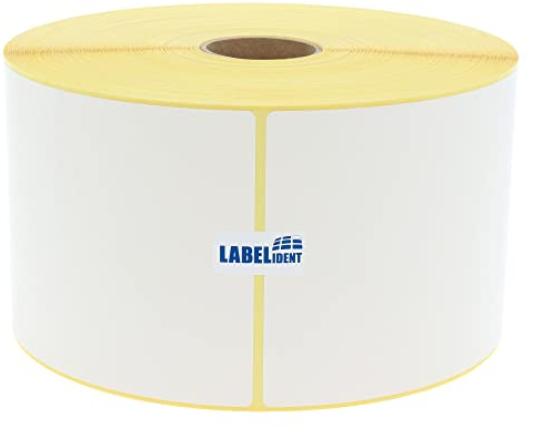 Versandetiketten DPD - 110 x 162 mm - 920 Thermo-Eco Papier Etiketten auf 1 Rolle(n) mit 40 mm Kern, Thermodirekt Etiketten selbstklebend, Trägerperfo.