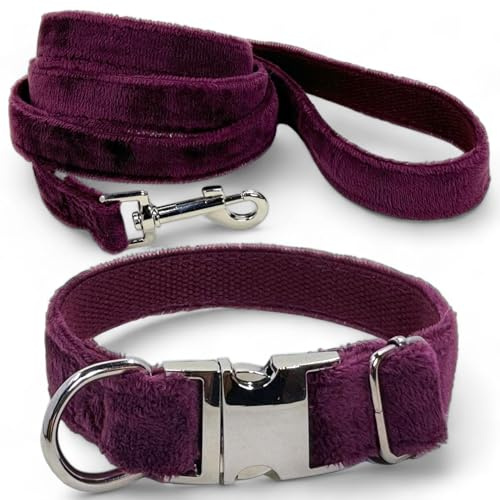 MIJOMA Hundeleine und Hundehalsband Set - 1,20m Leine, verstellbares Halsband, Verschiedene Designs, robust und stilvoll - violett Samt Velours