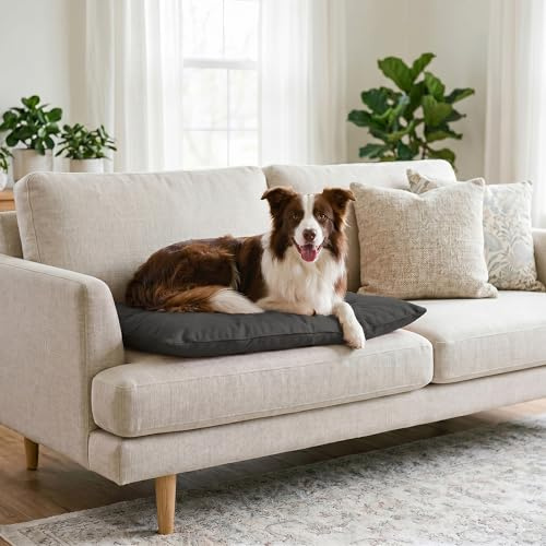 Maxy Cuscinone Cane e Gatto ELEGANT – Cuscino per Animali Domestici Imbottito, in Microfibra, 60x100 cm, Materassino Morbido e Confortevole per Cani Taglia Piccola/Media/Grande, grigio Scuro