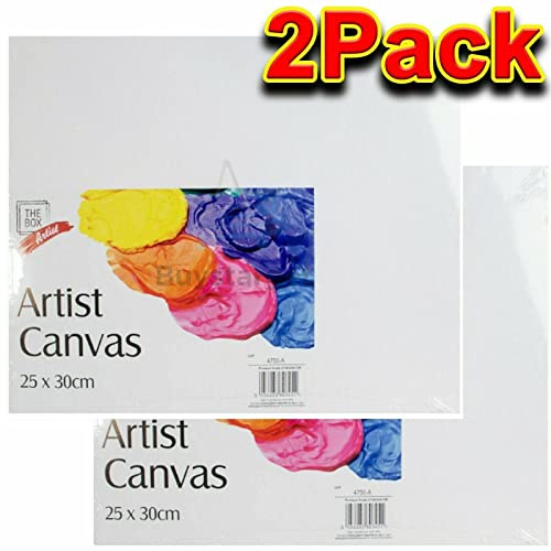 Buystarget 2 x 25x30cm Artist Canvas Panel Blank White Painting Board Adult Art & Craft
